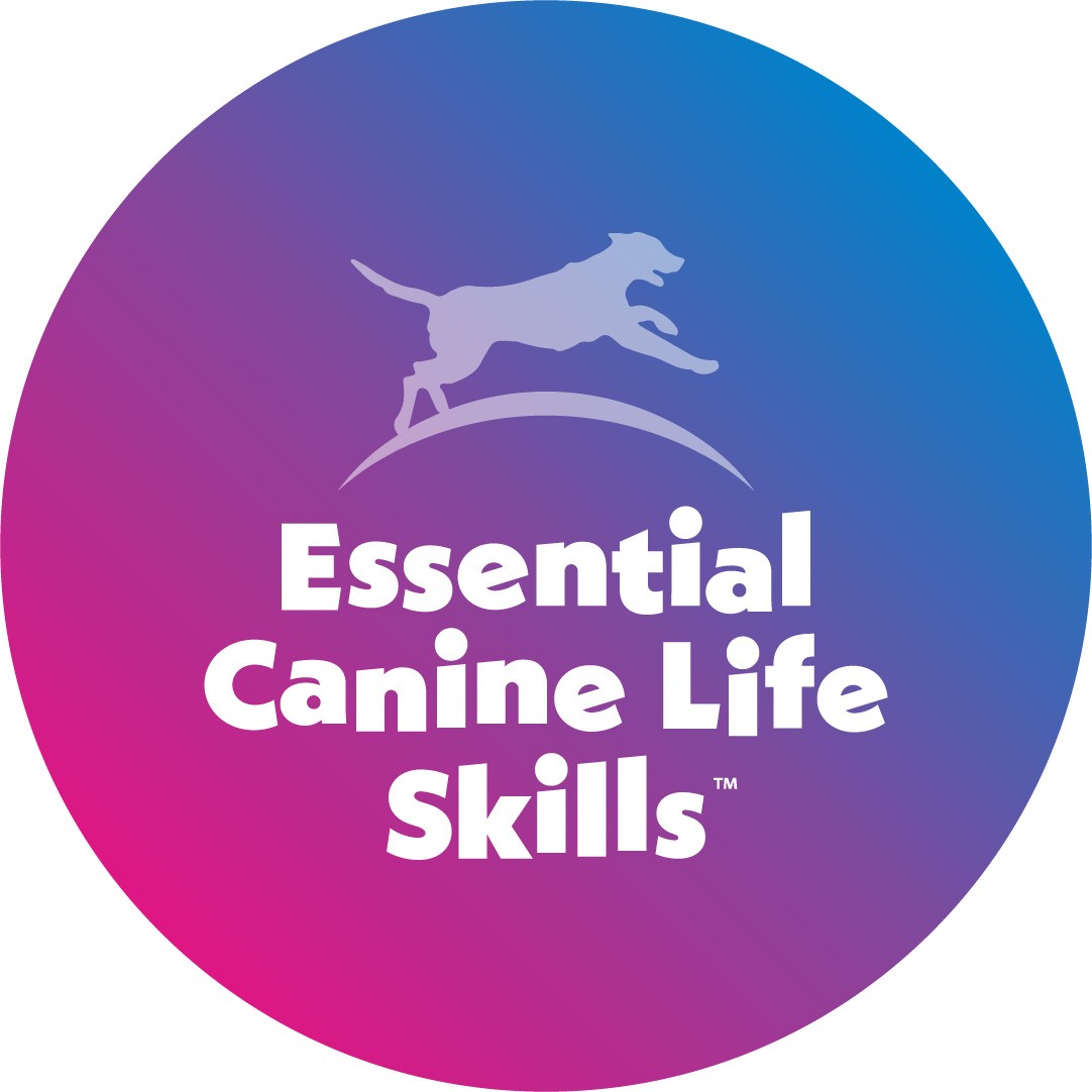Essential Canine Life Skills