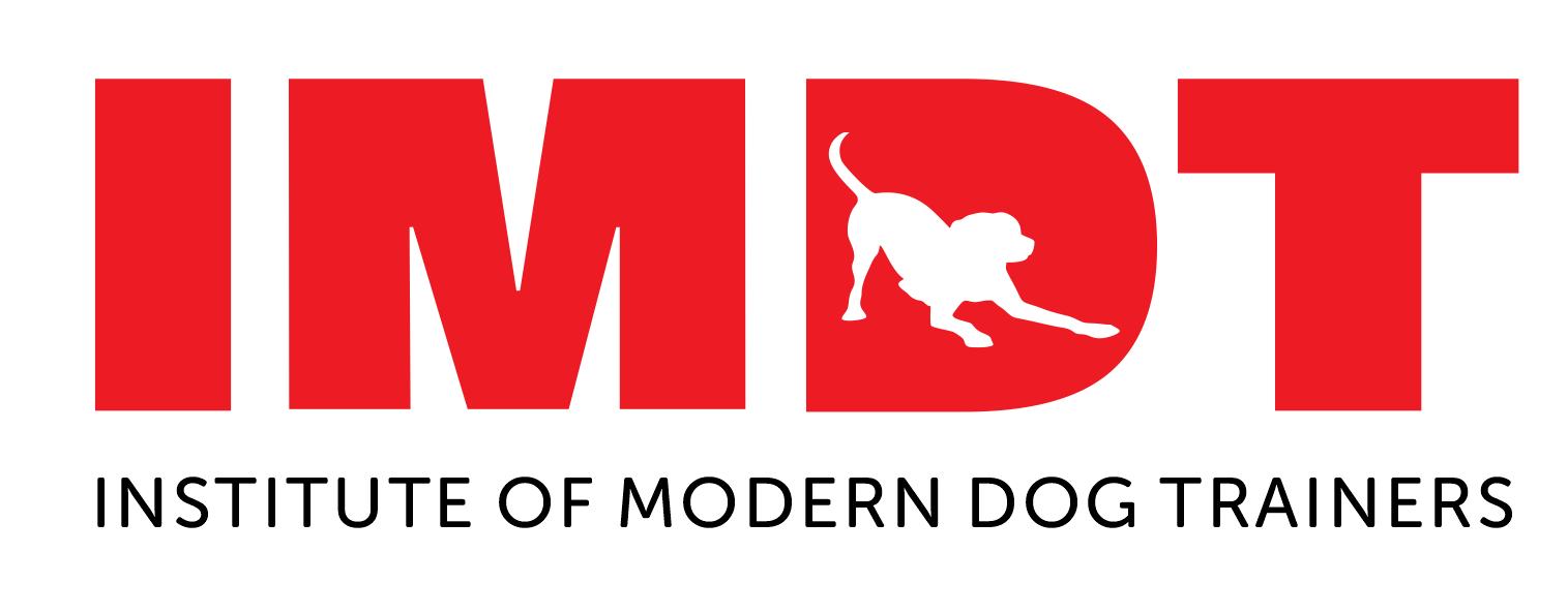 IMDT