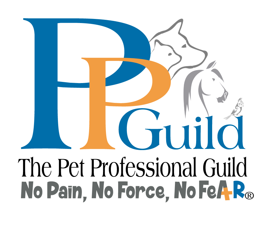 PPG