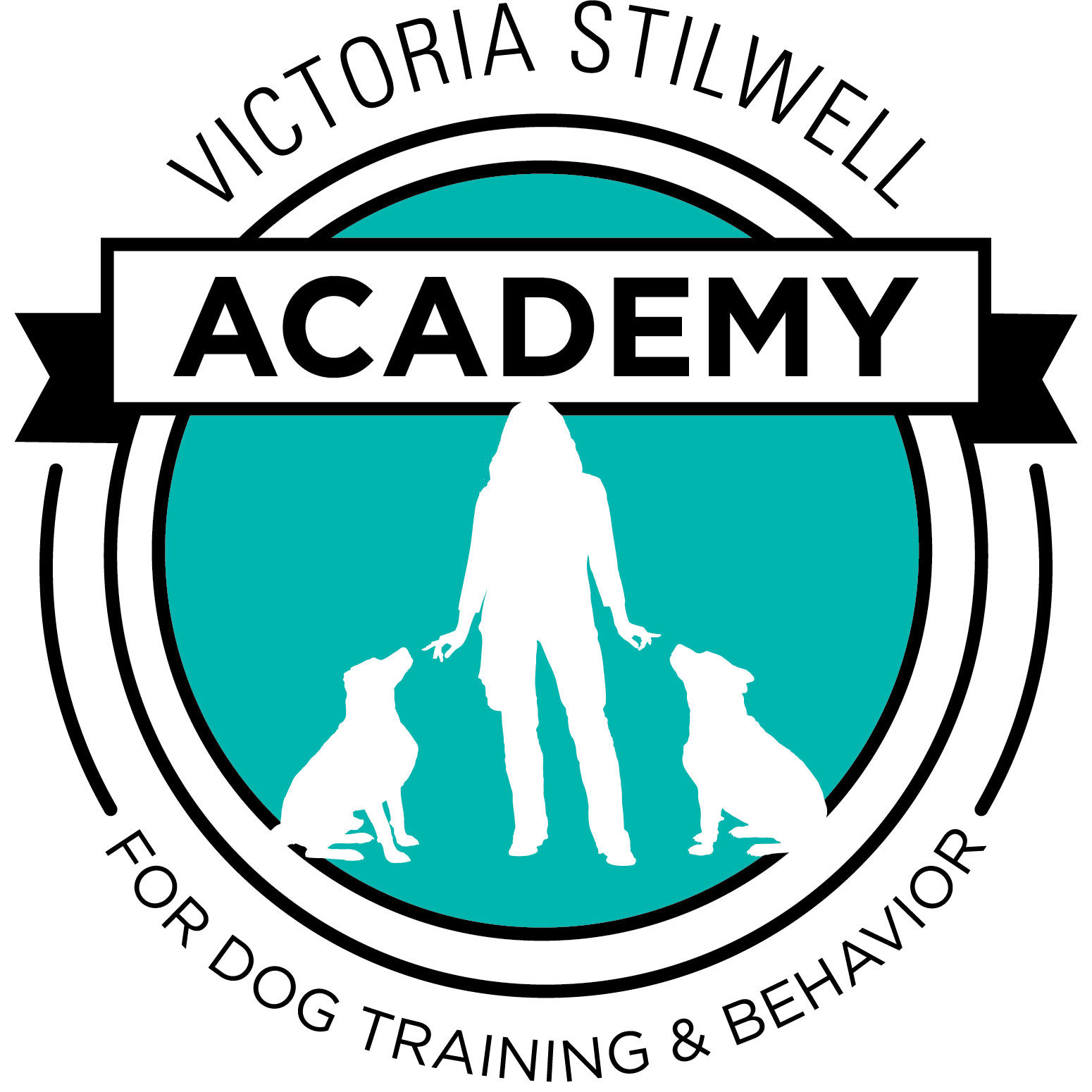 VS Academy